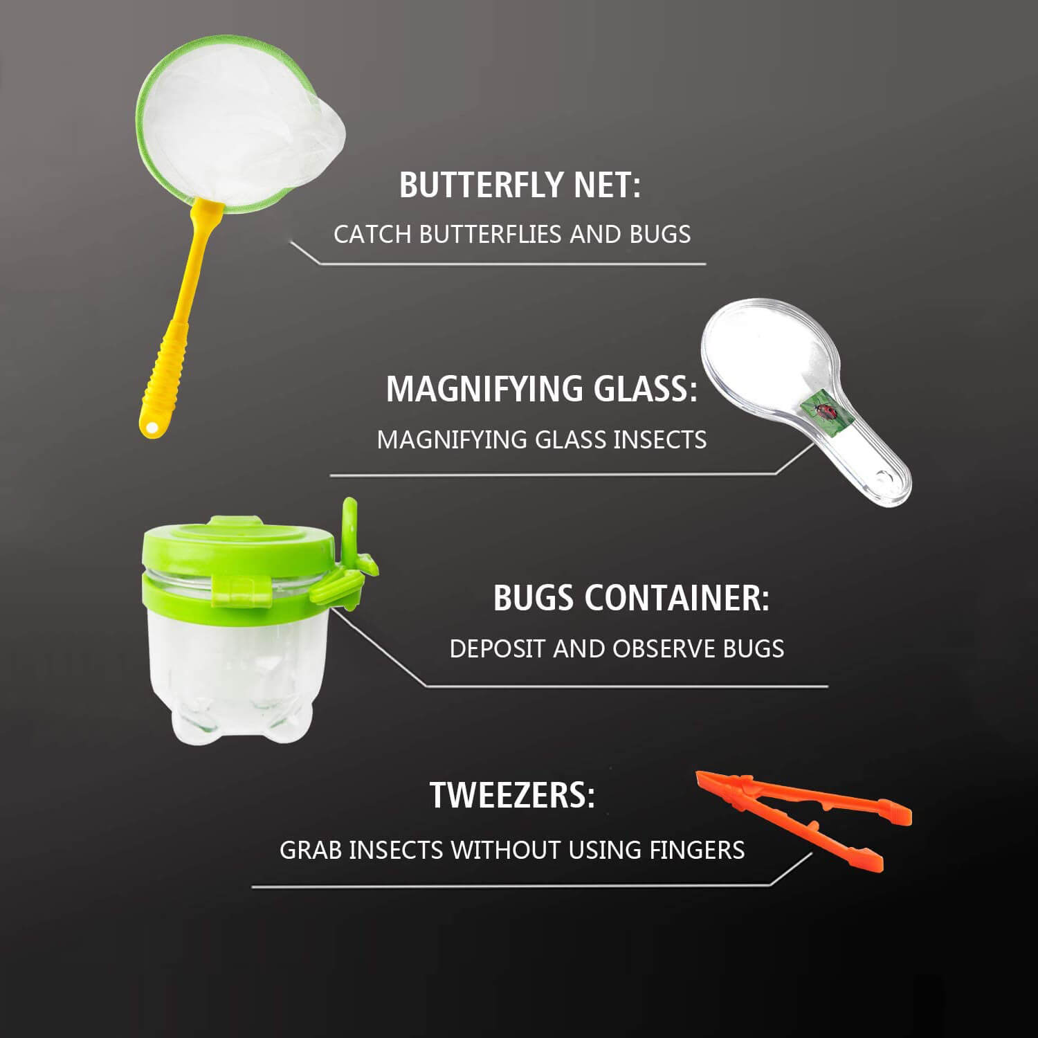 Bug Catcher Kit for Boys and Girls