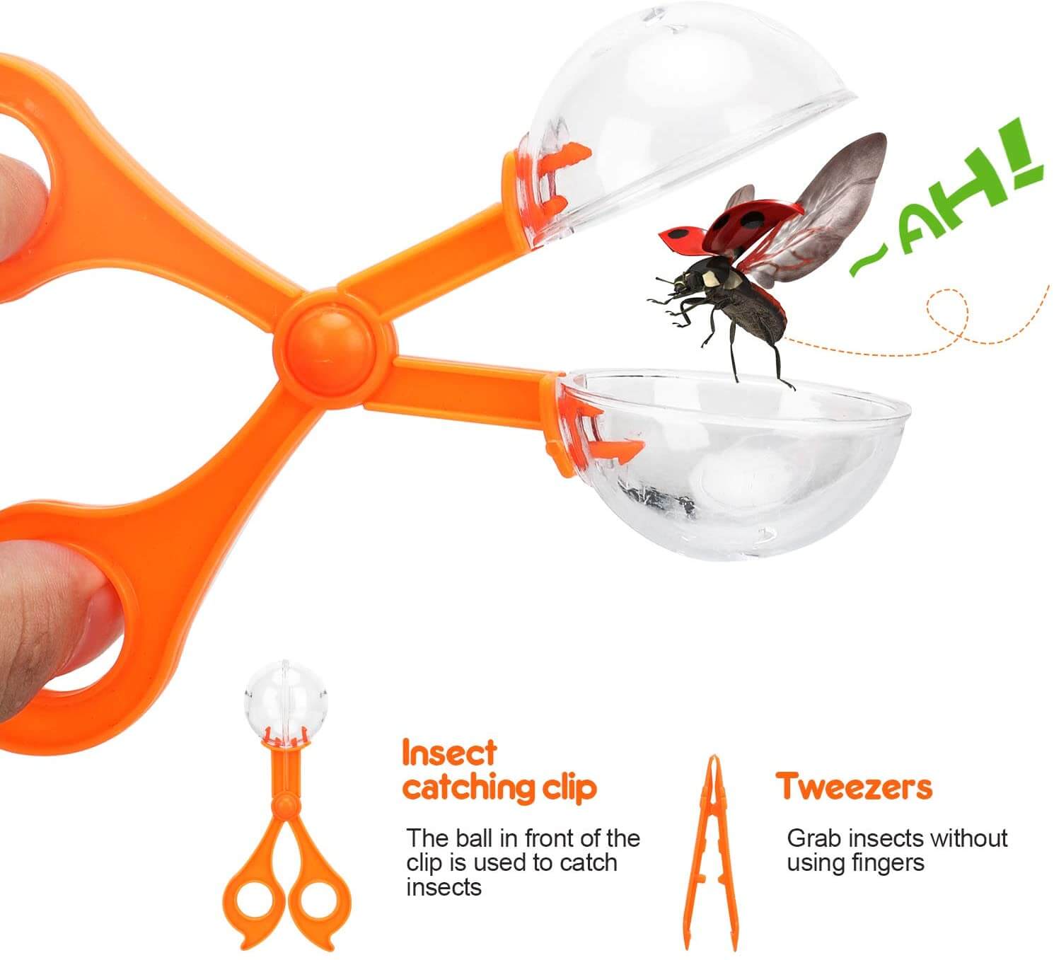 Bug Catcher Kit for Boys and Girls